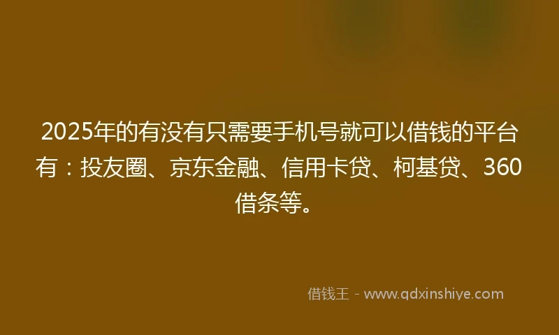 2025年的有没有只需要手机号就可以借钱的平台有：投友圈、京东金融、信用卡贷、柯基贷、360借条等。