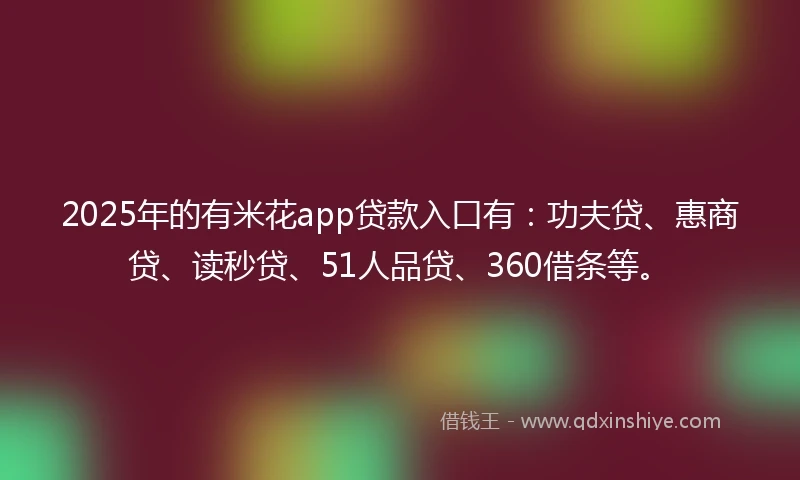 2025年的有米花app贷款入口有：功夫贷、惠商贷、读秒贷、51人品贷、360借条等。