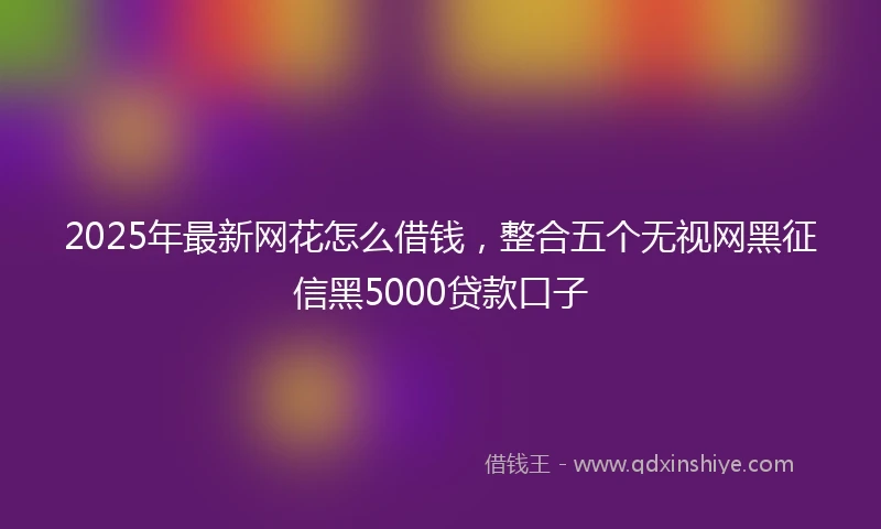 2025年最新网花怎么借钱，整合五个无视网黑征信黑5000贷款口子