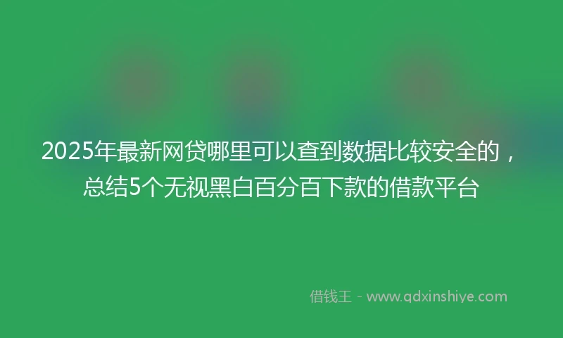 2025年最新网贷哪里可以查到数据比较安全的，总结5个无视黑白百分百下款的借款平台