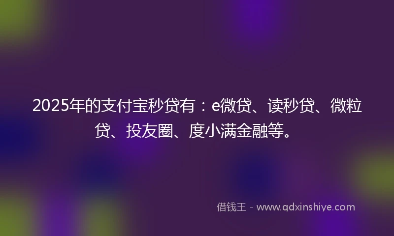 2025年的支付宝秒贷有：e微贷、读秒贷、微粒贷、投友圈、度小满金融等。