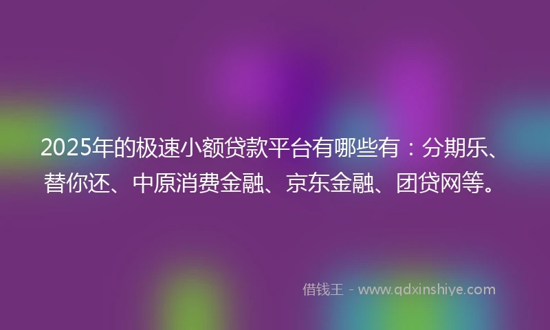 2025年的极速小额贷款平台有哪些有：分期乐、替你还、中原消费金融、京东金融、团贷网等。