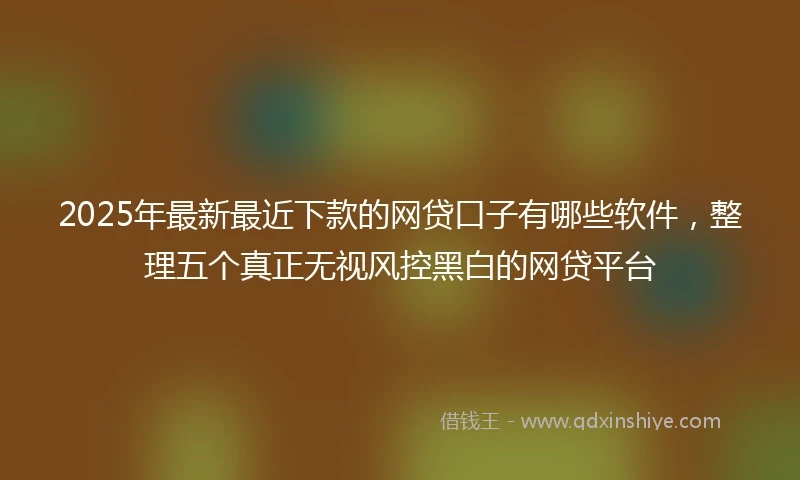 2025年最新最近下款的网贷口子有哪些软件，整理五个真正无视风控黑白的网贷平台