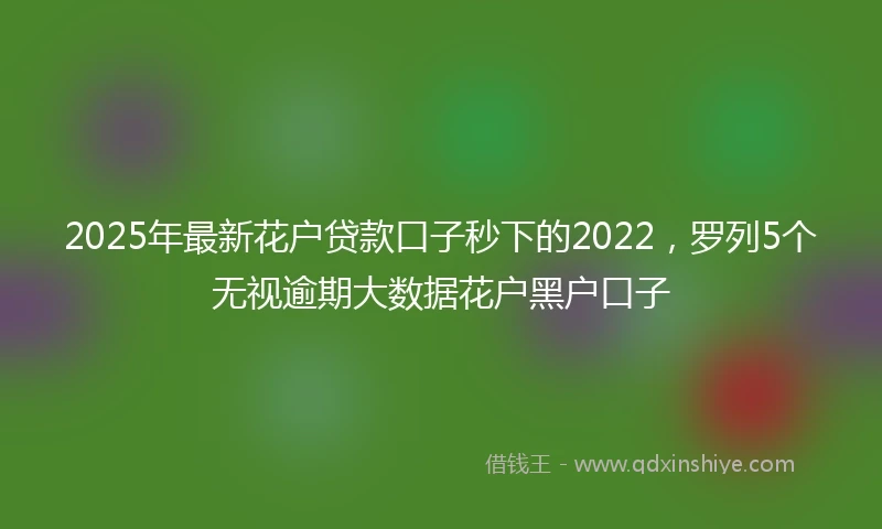 2025年最新花户贷款口子秒下的2022，罗列5个无视逾期大数据花户黑户口子