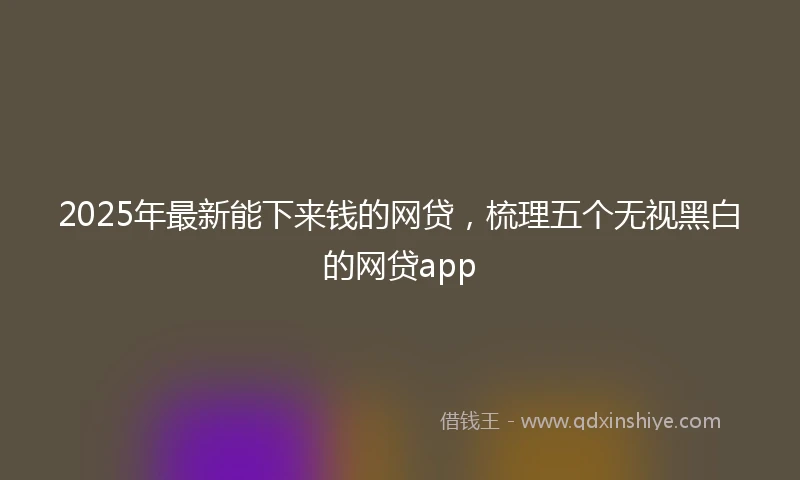 2025年最新能下来钱的网贷，梳理五个无视黑白的网贷app