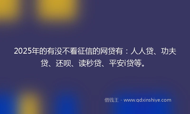 2025年的有没不看征信的网贷有：人人贷、功夫贷、还呗、读秒贷、平安i贷等。