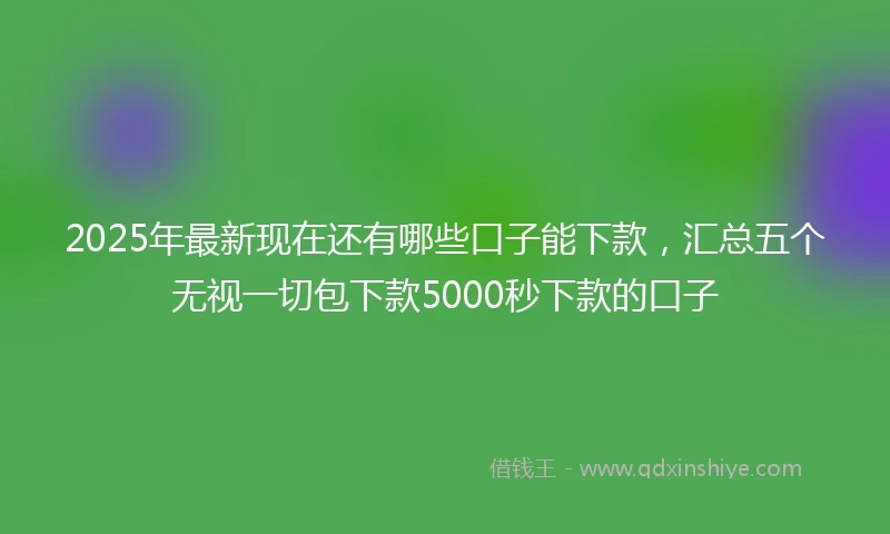 2025年最新现在还有哪些口子能下款，汇总五个无视一切包下款5000秒下款的口子