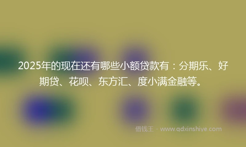 2025年的现在还有哪些小额贷款有：分期乐、好期贷、花呗、东方汇、度小满金融等。