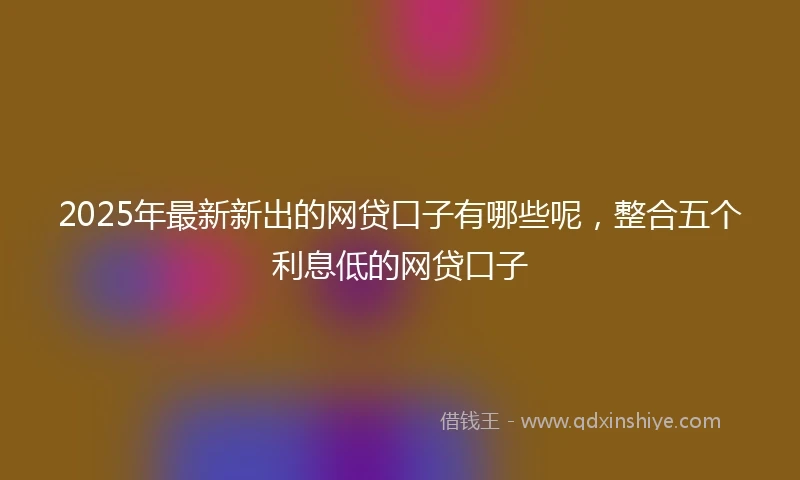 2025年最新新出的网贷口子有哪些呢，整合五个利息低的网贷口子