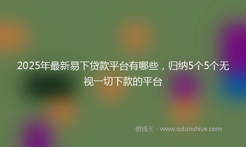 2025年最新易下贷款平台有哪些，归纳5个5个无视一切下款的平台