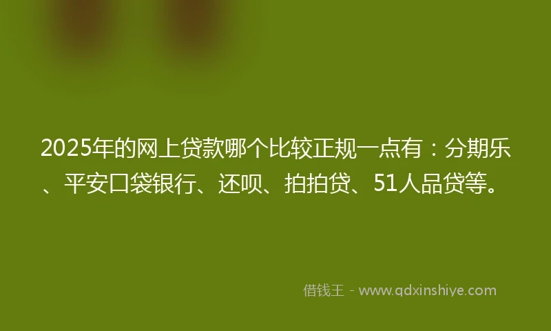 2025年的网上贷款哪个比较正规一点有：分期乐、平安口袋银行、还呗、拍拍贷、51人品贷等。