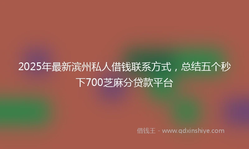 2025年最新滨州私人借钱联系方式，总结五个秒下700芝麻分贷款平台