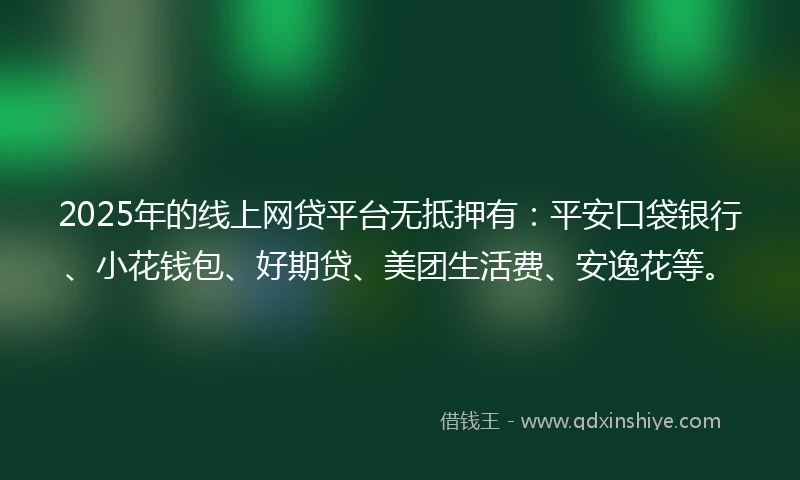 2025年的线上网贷平台无抵押有：平安口袋银行、小花钱包、好期贷、美团生活费、安逸花等。
