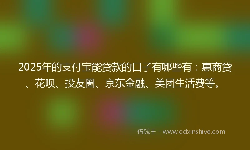 2025年的支付宝能贷款的口子有哪些有：惠商贷、花呗、投友圈、京东金融、美团生活费等。