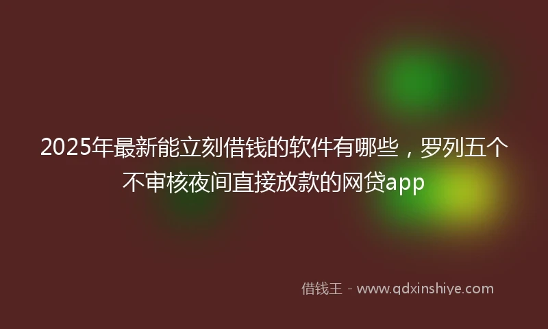 2025年最新能立刻借钱的软件有哪些，罗列五个不审核夜间直接放款的网贷app