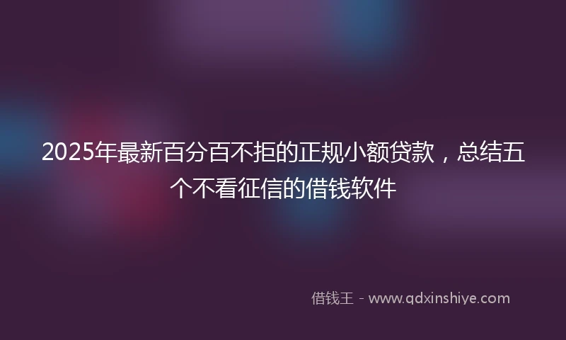 2025年最新百分百不拒的正规小额贷款，总结五个不看征信的借钱软件
