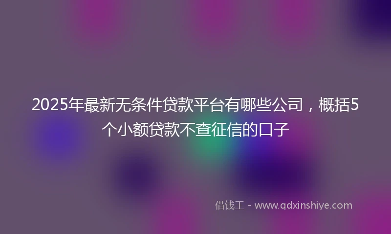 2025年最新无条件贷款平台有哪些公司，概括5个小额贷款不查征信的口子