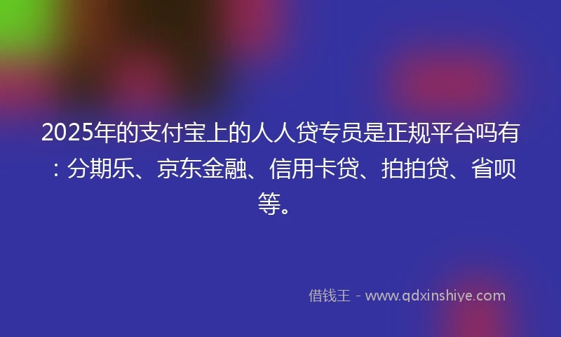 2025年的支付宝上的人人贷专员是正规平台吗有：分期乐、京东金融、信用卡贷、拍拍贷、省呗等。