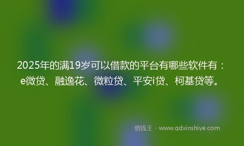 2025年的满19岁可以借款的平台有哪些软件有：e微贷、融逸花、微粒贷、平安i贷、柯基贷等。