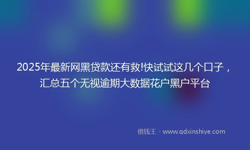 2025年最新网黑贷款还有救!快试试这几个口子，汇总五个无视逾期大数据花户黑户平台