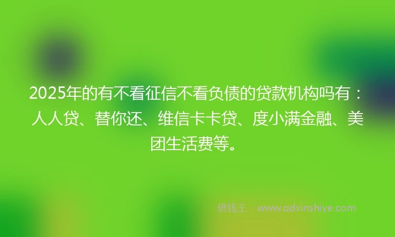 2025年的有不看征信不看负债的贷款机构吗有：人人贷、替你还、维信卡卡贷、度小满金融、美团生活费等。