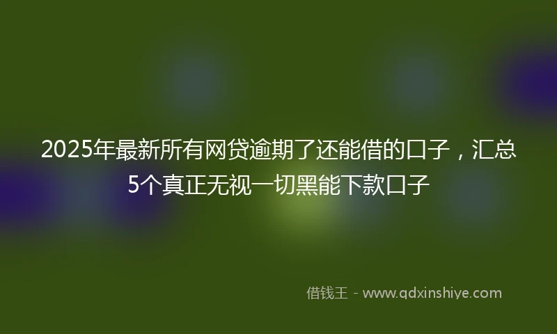 2025年最新所有网贷逾期了还能借的口子，汇总5个真正无视一切黑能下款口子
