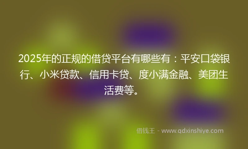 2025年的正规的借贷平台有哪些有：平安口袋银行、小米贷款、信用卡贷、度小满金融、美团生活费等。