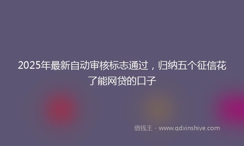 2025年最新自动审核标志通过，归纳五个征信花了能网贷的口子