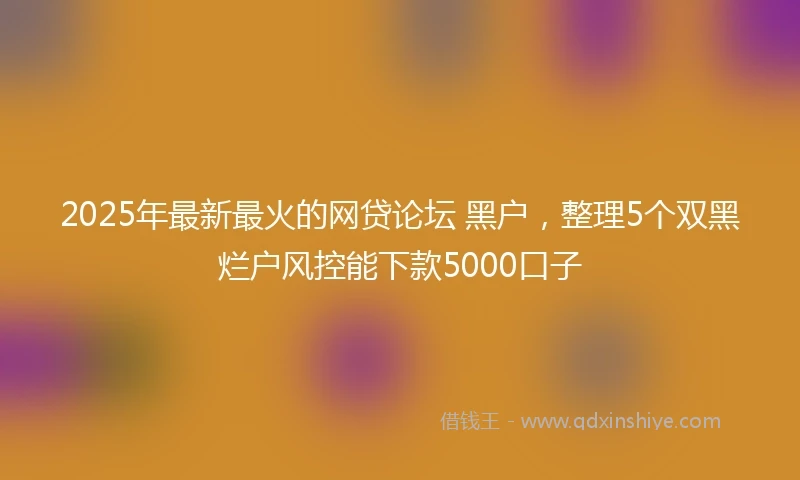 2025年最新最火的网贷论坛 黑户，整理5个双黑烂户风控能下款5000口子