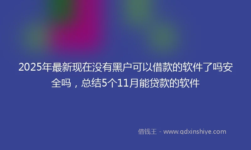 2025年最新现在没有黑户可以借款的软件了吗安全吗，总结5个11月能贷款的软件