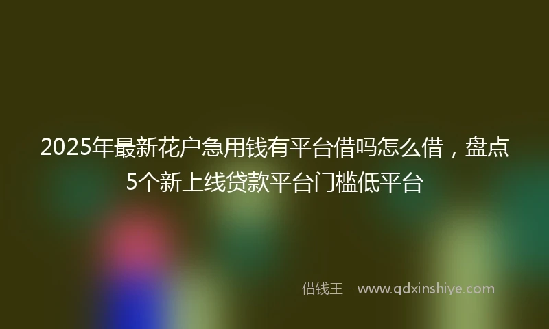 2025年最新花户急用钱有平台借吗怎么借，盘点5个新上线贷款平台门槛低平台