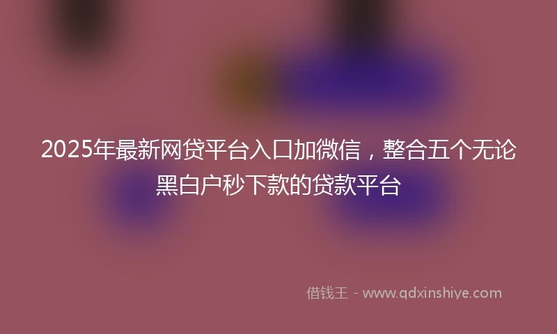 2025年最新网贷平台入口加微信，整合五个无论黑白户秒下款的贷款平台