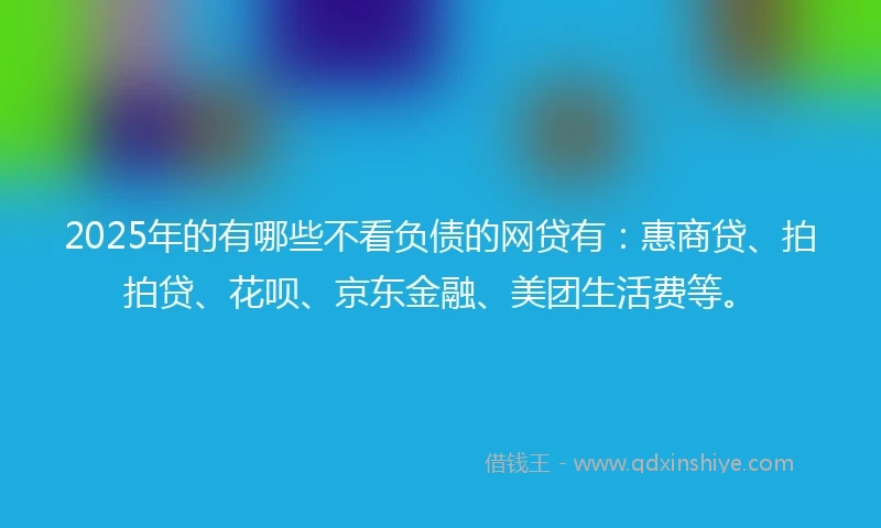 2025年的有哪些不看负债的网贷有：惠商贷、拍拍贷、花呗、京东金融、美团生活费等。