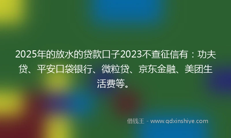 2025年的放水的贷款口子2023不查征信有：功夫贷、平安口袋银行、微粒贷、京东金融、美团生活费等。