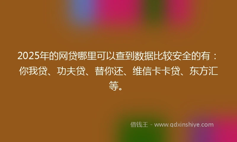 2025年的网贷哪里可以查到数据比较安全的有：你我贷、功夫贷、替你还、维信卡卡贷、东方汇等。