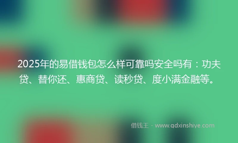 2025年的易借钱包怎么样可靠吗安全吗有：功夫贷、替你还、惠商贷、读秒贷、度小满金融等。