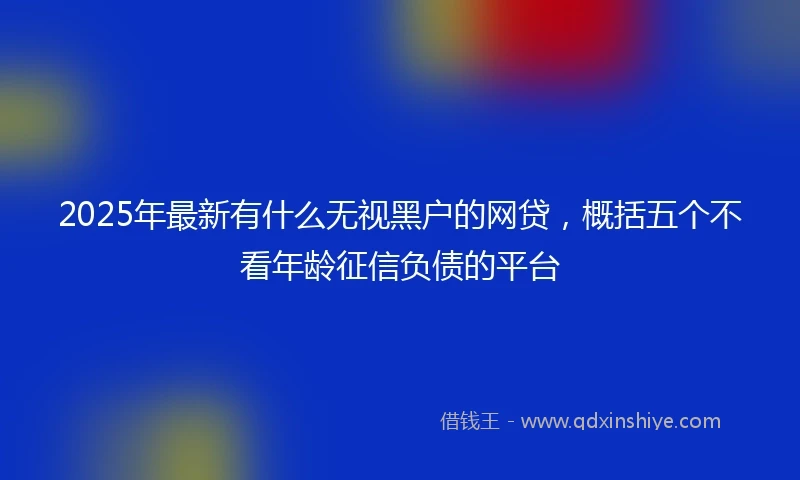2025年最新有什么无视黑户的网贷，概括五个不看年龄征信负债的平台