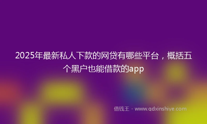 2025年最新私人下款的网贷有哪些平台，概括五个黑户也能借款的app