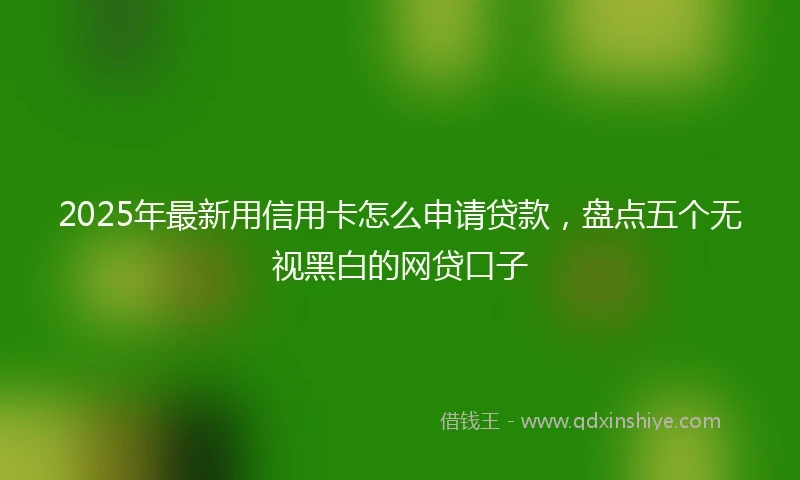 2025年最新用信用卡怎么申请贷款，盘点五个无视黑白的网贷口子