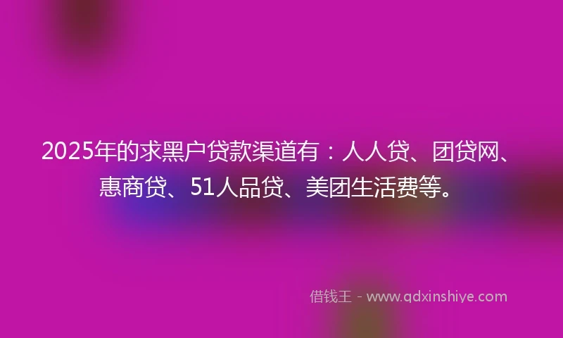 2025年的求黑户贷款渠道有：人人贷、团贷网、惠商贷、51人品贷、美团生活费等。