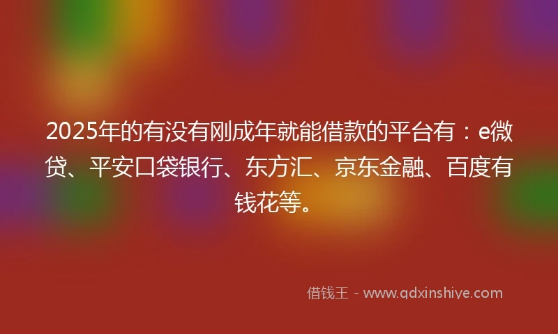 2025年的有没有刚成年就能借款的平台有：e微贷、平安口袋银行、东方汇、京东金融、百度有钱花等。