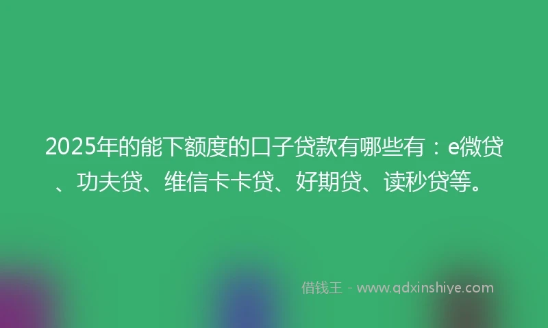 2025年的能下额度的口子贷款有哪些有：e微贷、功夫贷、维信卡卡贷、好期贷、读秒贷等。