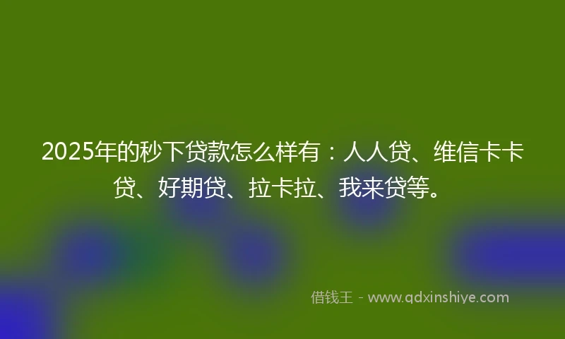 2025年的秒下贷款怎么样有：人人贷、维信卡卡贷、好期贷、拉卡拉、我来贷等。