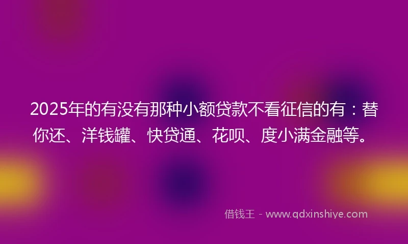 2025年的有没有那种小额贷款不看征信的有：替你还、洋钱罐、快贷通、花呗、度小满金融等。