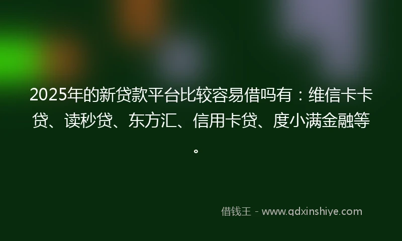 2025年的新贷款平台比较容易借吗有：维信卡卡贷、读秒贷、东方汇、信用卡贷、度小满金融等。