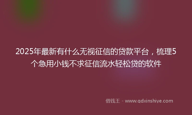 2025年最新有什么无视征信的贷款平台，梳理5个急用小钱不求征信流水轻松贷的软件