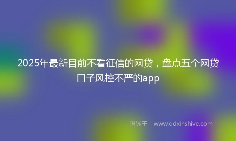 2025年最新目前不看征信的网贷，盘点五个网贷口子风控不严的app