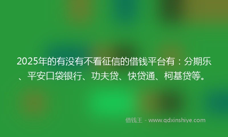 2025年的有没有不看征信的借钱平台有：分期乐、平安口袋银行、功夫贷、快贷通、柯基贷等。