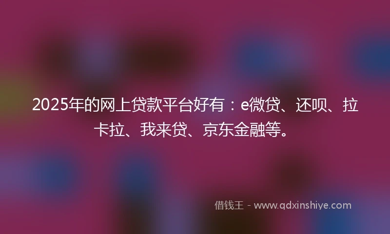 2025年的网上贷款平台好有：e微贷、还呗、拉卡拉、我来贷、京东金融等。