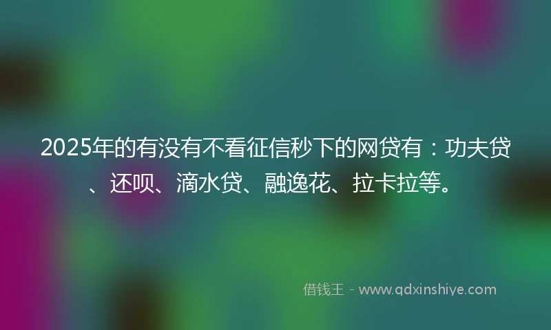 2025年的有没有不看征信秒下的网贷有：功夫贷、还呗、滴水贷、融逸花、拉卡拉等。